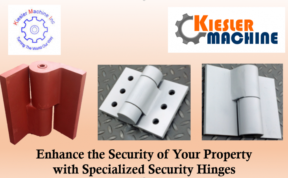 Enhance the Security of Your Property with Specialized Security Hinges